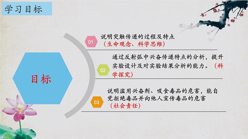 2.3+神经冲动的产生和传导（第二课时）-【探究课堂】2023-2024学年高二生物上学期同步优质课件（人教版2019选择性必修1）第2页