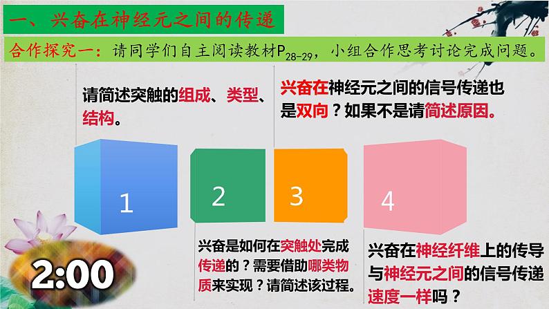 2.3+神经冲动的产生和传导（第二课时）-【探究课堂】2023-2024学年高二生物上学期同步优质课件（人教版2019选择性必修1）第5页