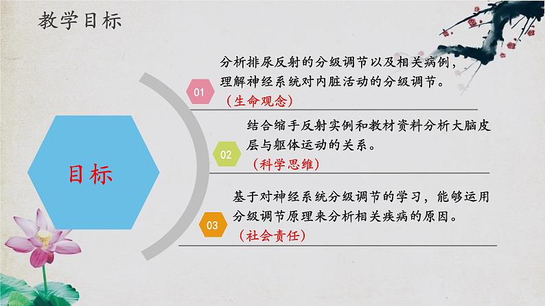 2.4+神经系统的分级调节-【探究课堂】2023-2024学年高二生物上学期同步优质课件（人教版2019选择性必修1）第2页