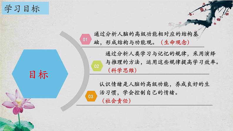 2.5+人脑的高级功能-【探究课堂】2023-2024学年高二生物上学期同步优质课件（人教版2019选择性必修1）02