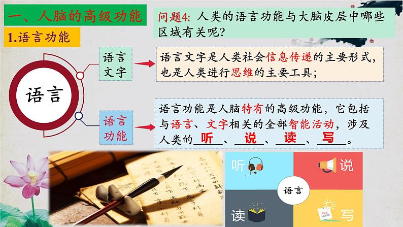 2.5+人脑的高级功能-【探究课堂】2023-2024学年高二生物上学期同步优质课件（人教版2019选择性必修1）07