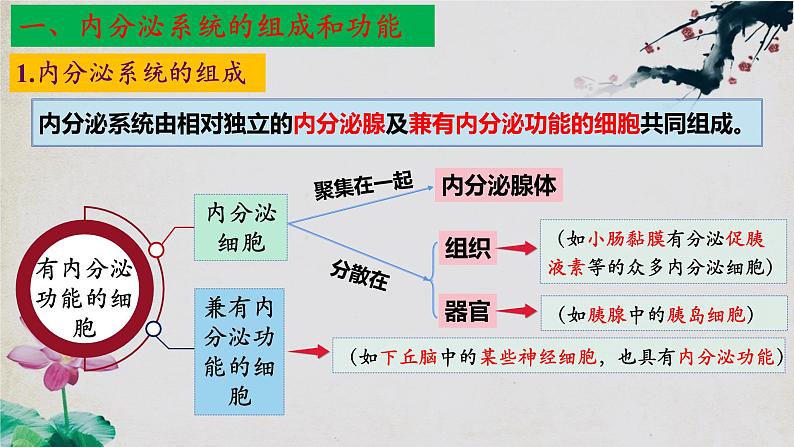 3.1+激素与内分泌系统（第二课时）-【探究课堂】2023-2024学年高二生物上学期同步优质课件（人教版2019选择性必修1）第5页