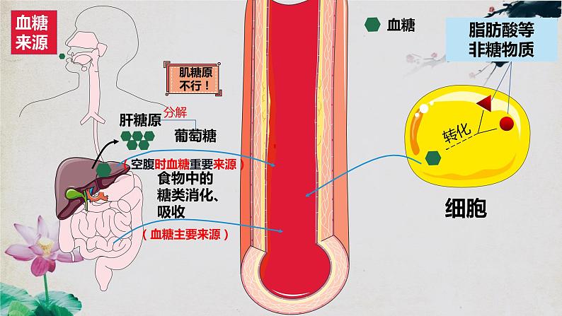 3.2 激素调节的过程（第一课时）第7页