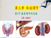 3.2+激素调节的过程（第二课时）-【探究课堂】2023-2024学年高二生物上学期同步优质课件（人教版2019选择性必修1）