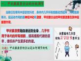 3.2+激素调节的过程（第二课时）-【探究课堂】2023-2024学年高二生物上学期同步优质课件（人教版2019选择性必修1）