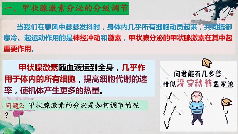 3.2+激素调节的过程（第二课时）-【探究课堂】2023-2024学年高二生物上学期同步优质课件（人教版2019选择性必修1）第4页