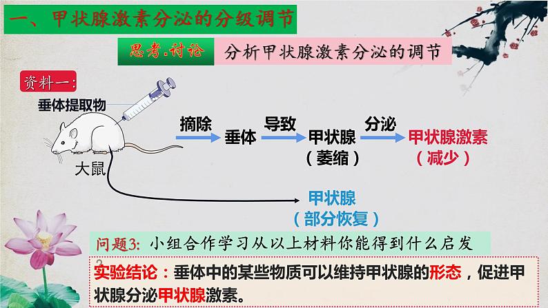 3.2+激素调节的过程（第二课时）-【探究课堂】2023-2024学年高二生物上学期同步优质课件（人教版2019选择性必修1）第6页