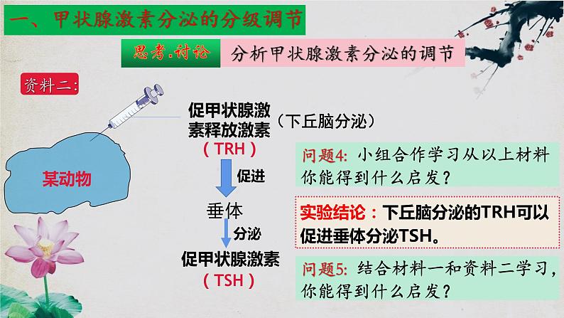 3.2+激素调节的过程（第二课时）-【探究课堂】2023-2024学年高二生物上学期同步优质课件（人教版2019选择性必修1）第7页