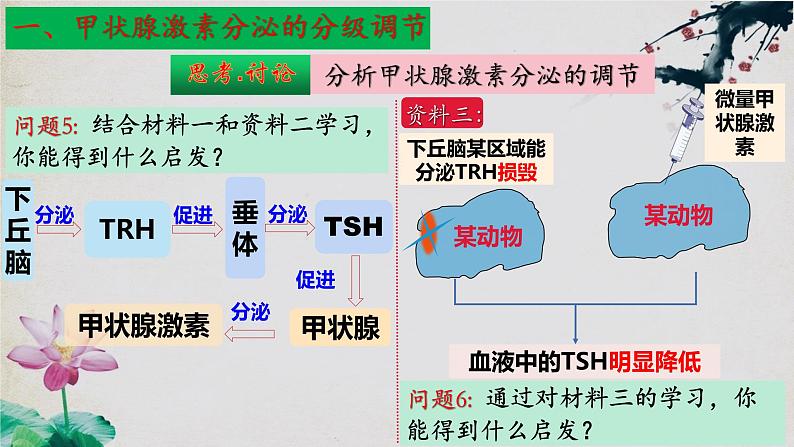 3.2+激素调节的过程（第二课时）-【探究课堂】2023-2024学年高二生物上学期同步优质课件（人教版2019选择性必修1）第8页