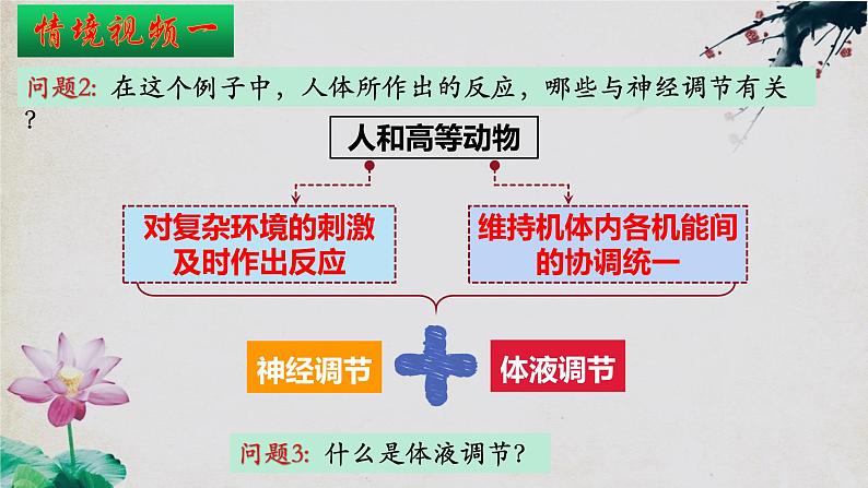 3.3+体液调节与神经调节的关系（第一课时）-【探究课堂】2023-2024学年高二生物上学期同步优质课件（人教版2019选择性必修1）第4页