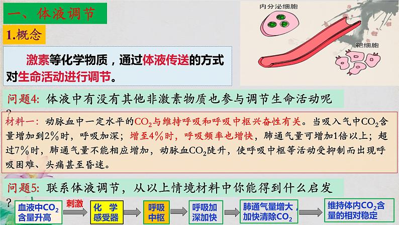 3.3+体液调节与神经调节的关系（第一课时）-【探究课堂】2023-2024学年高二生物上学期同步优质课件（人教版2019选择性必修1）第6页