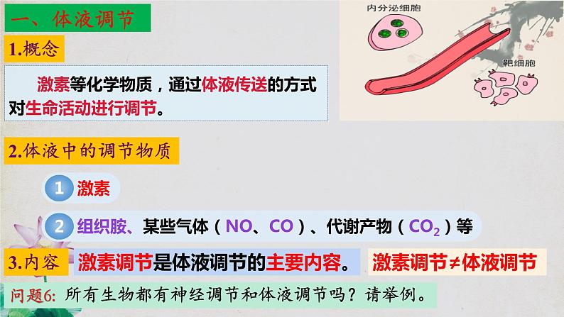 3.3+体液调节与神经调节的关系（第一课时）-【探究课堂】2023-2024学年高二生物上学期同步优质课件（人教版2019选择性必修1）第7页