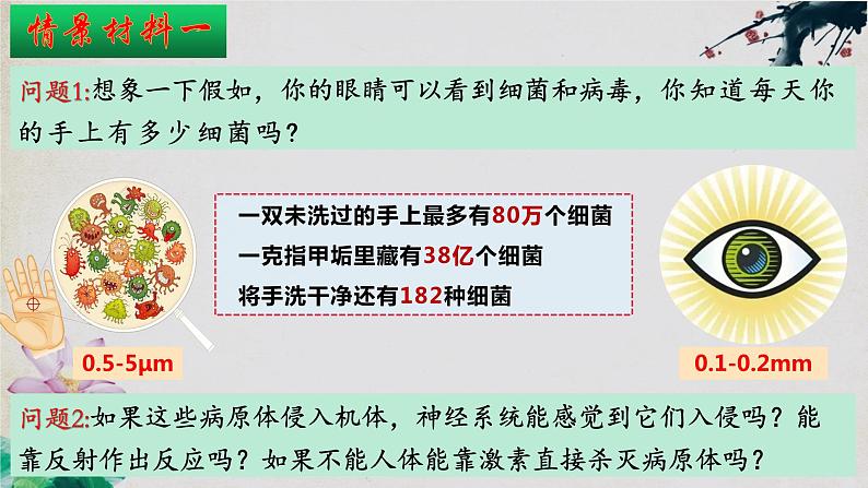 4.1 免疫系统的组成和功能第1页