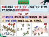 4.1+免疫系统的组成和功能（第一课时）-【探究课堂】2023-2024学年高二生物上学期同步优质课件（人教版2019选择性必修1）