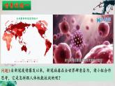 4.1+免疫系统的组成和功能（第一课时）-【探究课堂】2023-2024学年高二生物上学期同步优质课件（人教版2019选择性必修1）