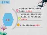 4.1+免疫系统的组成和功能（第二课时）-【探究课堂】2023-2024学年高二生物上学期同步优质课件（人教版2019选择性必修1）