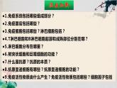 4.1+免疫系统的组成和功能（第二课时）-【探究课堂】2023-2024学年高二生物上学期同步优质课件（人教版2019选择性必修1）