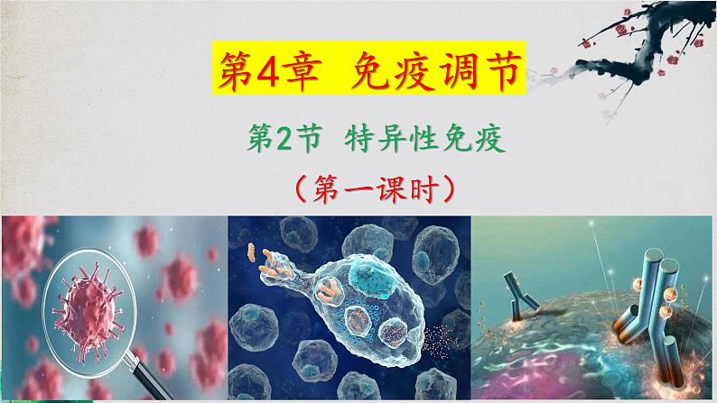 4.2+特异性免疫（第一课时）-【探究课堂】2023-2024学年高二生物上学期同步优质课件（人教版2019选择性必修1）01