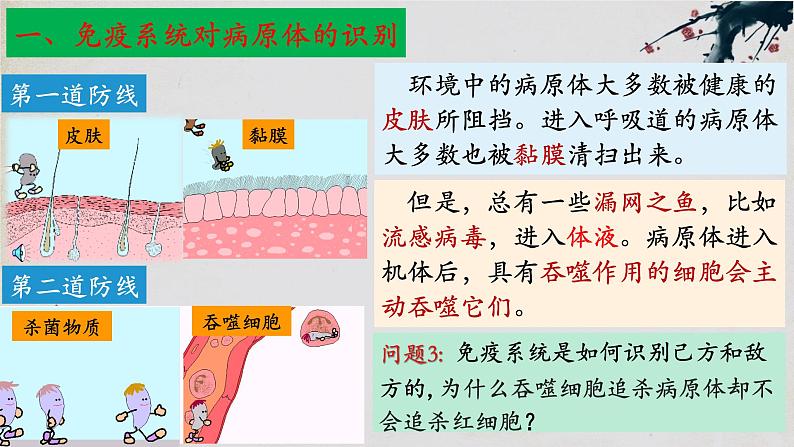 4.2+特异性免疫（第一课时）-【探究课堂】2023-2024学年高二生物上学期同步优质课件（人教版2019选择性必修1）06