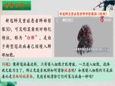 4.2+特异性免疫（第二课时）-【探究课堂】2023-2024学年高二生物上学期同步优质课件（人教版2019选择性必修1）