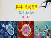 4.3+免疫失调（第一课时）-【探究课堂】2023-2024学年高二生物上学期同步优质课件（人教版2019选择性必修1）