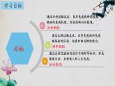 4.3+免疫失调（第一课时）-【探究课堂】2023-2024学年高二生物上学期同步优质课件（人教版2019选择性必修1）