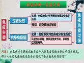 4.3+免疫失调（第二课时）-【探究课堂】2023-2024学年高二生物上学期同步优质课件（人教版2019选择性必修1）