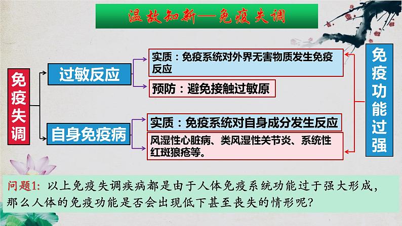 4.3+免疫失调（第二课时）-【探究课堂】2023-2024学年高二生物上学期同步优质课件（人教版2019选择性必修1）第3页