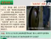 4.3+免疫失调（第二课时）-【探究课堂】2023-2024学年高二生物上学期同步优质课件（人教版2019选择性必修1）