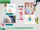 4.4+免疫学的应用-【探究课堂】2023-2024学年高二生物上学期同步优质课件（人教版2019选择性必修1）