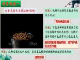 5.1+植物生长素（第一课时）-【探究课堂】2023-2024学年高二生物上学期同步优质课件（人教版2019选择性必修1）