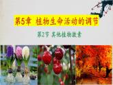 5.2+其他植物激素-【探究课堂】2023-2024学年高二生物上学期同步优质课件（人教版2019选择性必修1）