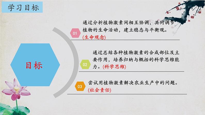 5.2+其他植物激素-【探究课堂】2023-2024学年高二生物上学期同步优质课件（人教版2019选择性必修1）第2页