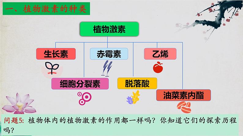 5.2+其他植物激素-【探究课堂】2023-2024学年高二生物上学期同步优质课件（人教版2019选择性必修1）第6页