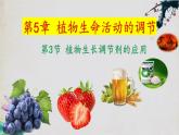 5.3+植物生长调节剂的应用-【探究课堂】2023-2024学年高二生物上学期同步优质课件（人教版2019选择性必修1）