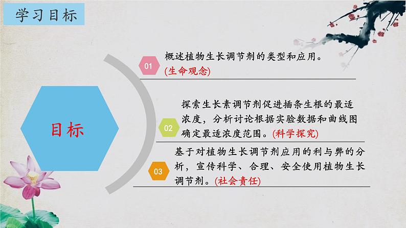 5.3+植物生长调节剂的应用-【探究课堂】2023-2024学年高二生物上学期同步优质课件（人教版2019选择性必修1）第2页