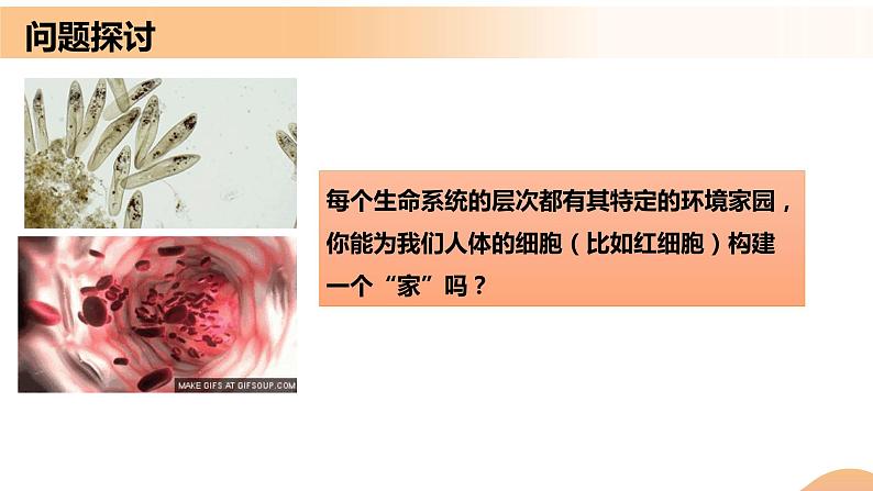 1.1+细胞生活的环境（课件+教案+导学案+练习）-高二生物同步备课系列（人教版2019选择性必修1）03