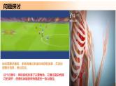 2.1+神经调节的结构基础（课件+教案+导学案+练习）-高二生物同步备课系列（人教版2019选择性必修1）