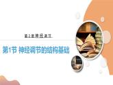 2.1+神经调节的结构基础（课件+教案+导学案+练习）-高二生物同步备课系列（人教版2019选择性必修1）