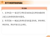 2.1+神经调节的结构基础（课件+教案+导学案+练习）-高二生物同步备课系列（人教版2019选择性必修1）