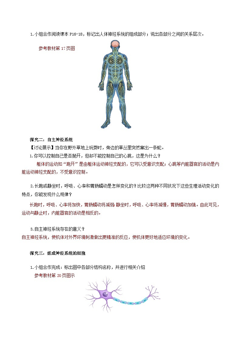 2.1+神经调节的结构基础（课件+教案+导学案+练习）-高二生物同步备课系列（人教版2019选择性必修1）02