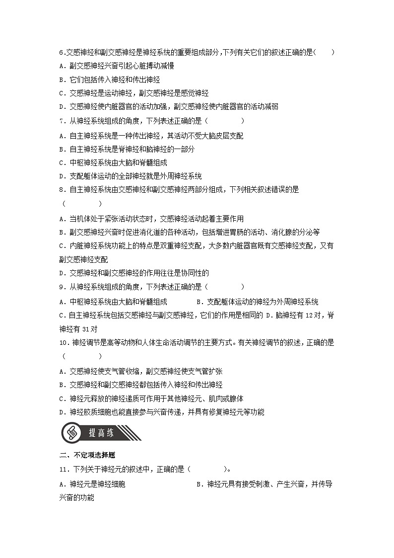 2.1+神经调节的结构基础（课件+教案+导学案+练习）-高二生物同步备课系列（人教版2019选择性必修1）02