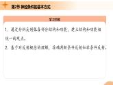 2.2+神经调节的基本方式（课件+教案+导学案+练习）-高二生物同步备课系列（人教版2019选择性必修1）
