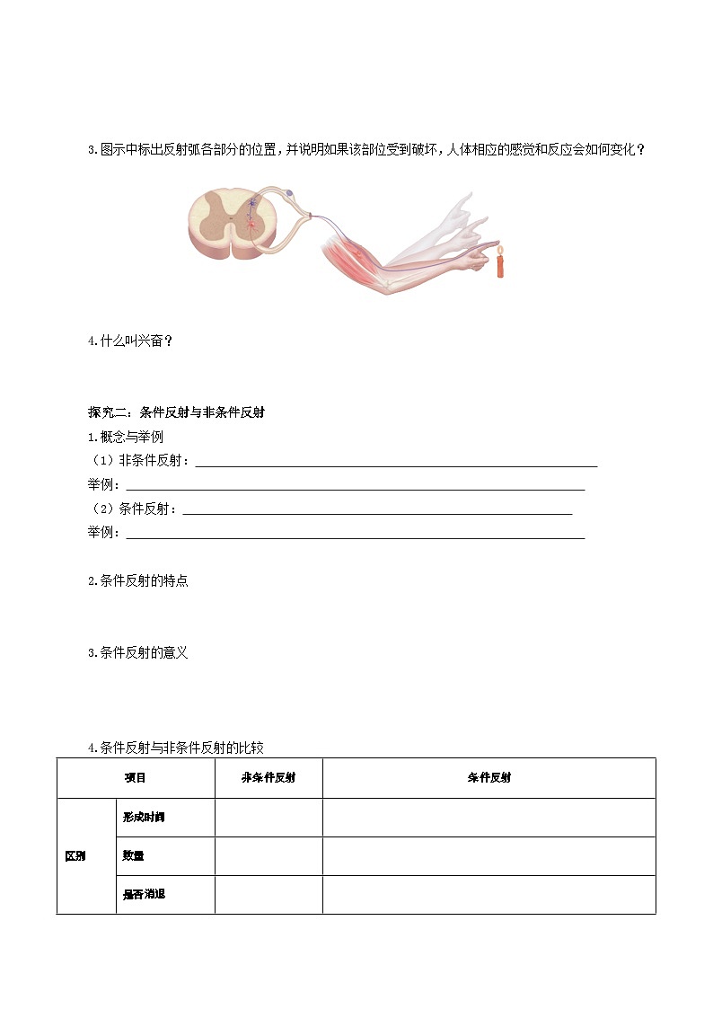 2.2+神经调节的基本方式（课件+教案+导学案+练习）-高二生物同步备课系列（人教版2019选择性必修1）02