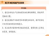 2.3+神经冲动的产生和传导（课件+教案+导学案+练习）-高二生物同步备课系列（人教版2019选择性必修1）