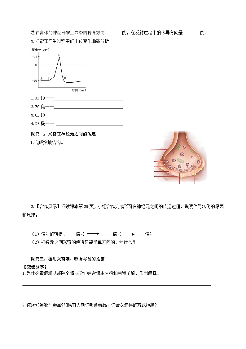 2.3+神经冲动的产生和传导（课件+教案+导学案+练习）-高二生物同步备课系列（人教版2019选择性必修1）03