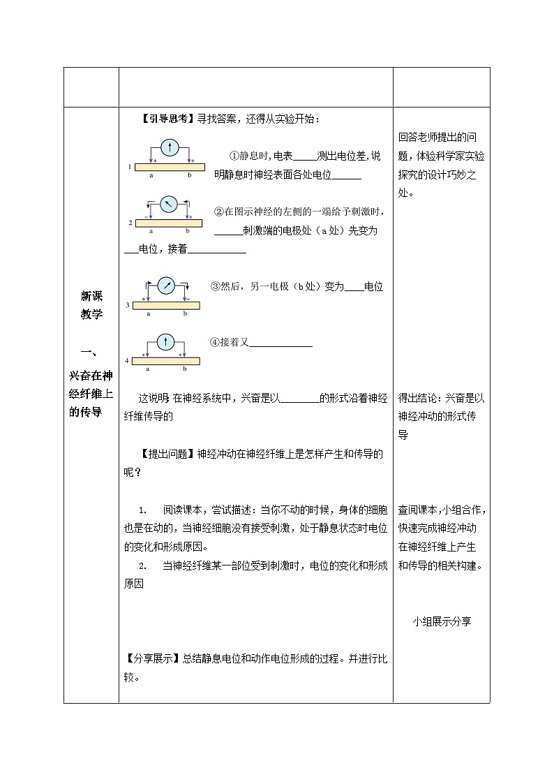 2.3+神经冲动的产生和传导（课件+教案+导学案+练习）-高二生物同步备课系列（人教版2019选择性必修1）02