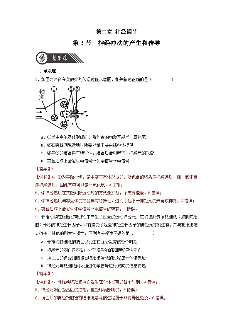 2.3+神经冲动的产生和传导（课件+教案+导学案+练习）-高二生物同步备课系列（人教版2019选择性必修1）01