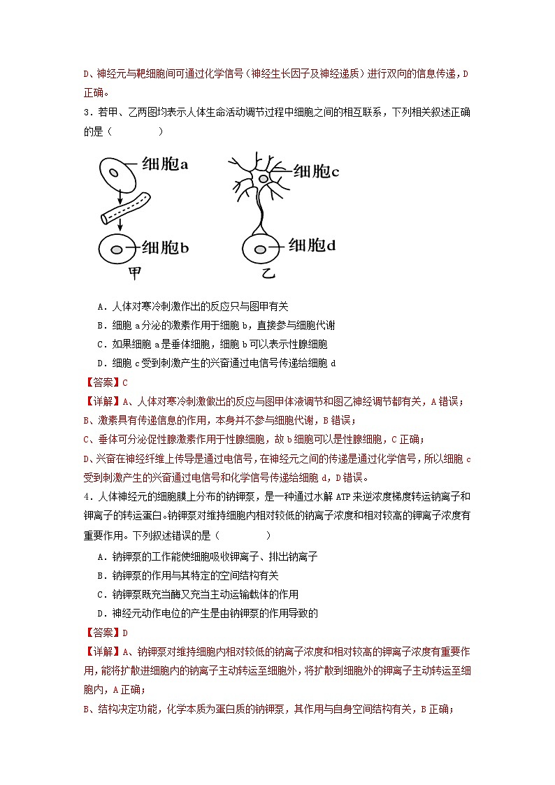 2.3+神经冲动的产生和传导（课件+教案+导学案+练习）-高二生物同步备课系列（人教版2019选择性必修1）02