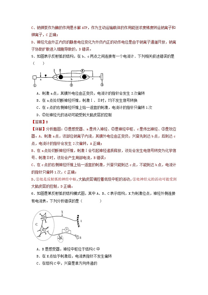 2.3+神经冲动的产生和传导（课件+教案+导学案+练习）-高二生物同步备课系列（人教版2019选择性必修1）03